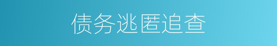 债务逃匿追查的同义词