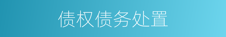 债权债务处置的同义词