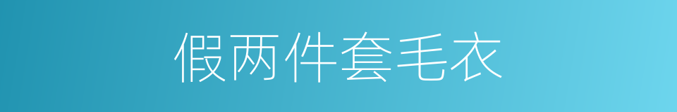 假两件套毛衣的同义词