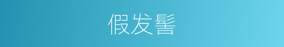 假发髻的同义词