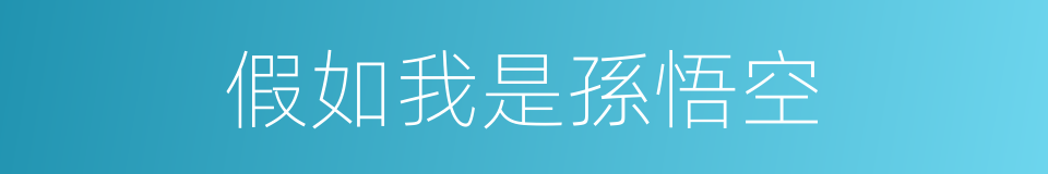 假如我是孫悟空的同義詞