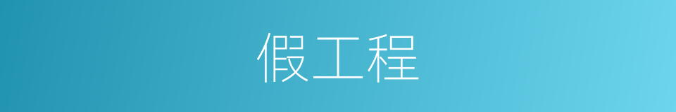 假工程的同义词