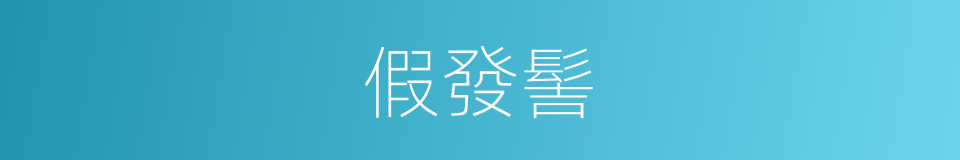 假發髻的同義詞