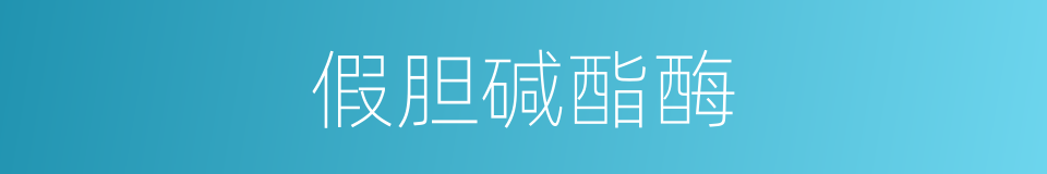 假胆碱酯酶的同义词