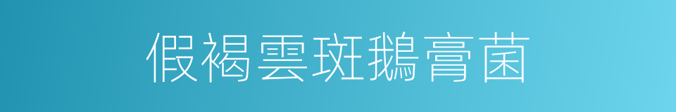 假褐雲斑鵝膏菌的同義詞