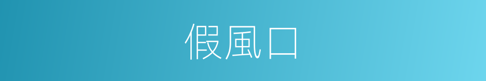 假風口的同義詞