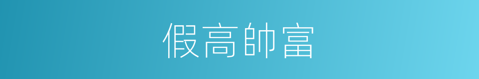 假高帥富的同義詞