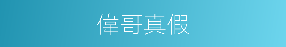 偉哥真假的同義詞