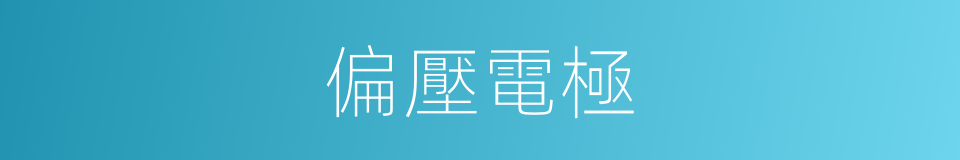 偏壓電極的同義詞