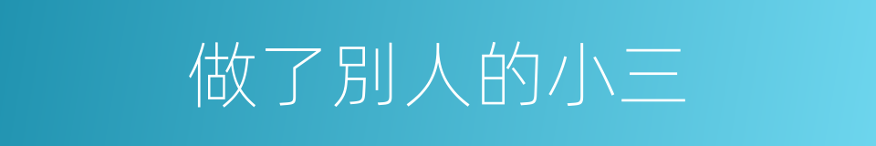 做了別人的小三的同義詞