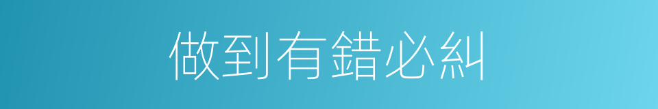 做到有錯必糾的同義詞