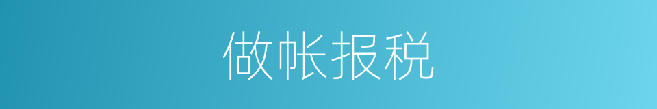 做帐报税的同义词