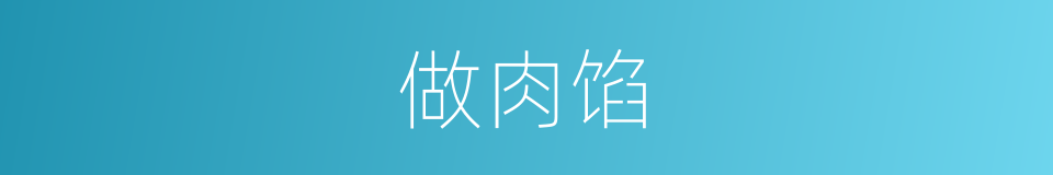 做肉馅的同义词