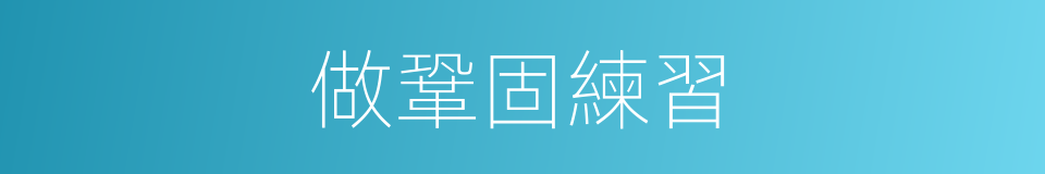 做鞏固練習的同義詞