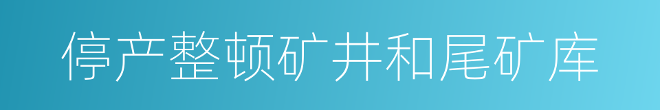 停产整顿矿井和尾矿库的同义词