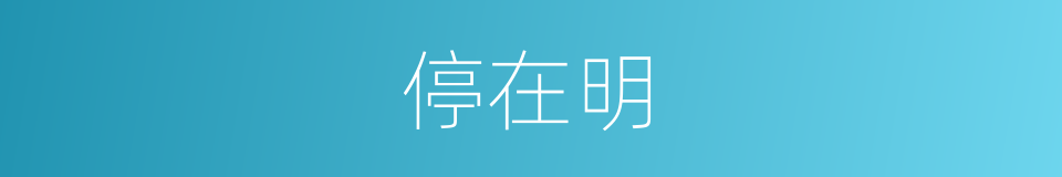 停在明的同义词