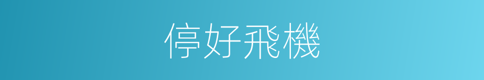 停好飛機的同義詞