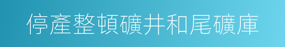 停產整頓礦井和尾礦庫的同義詞