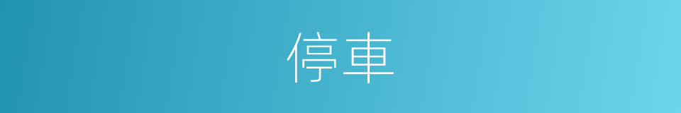 停車的意思