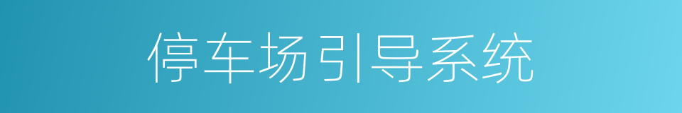 停车场引导系统的同义词