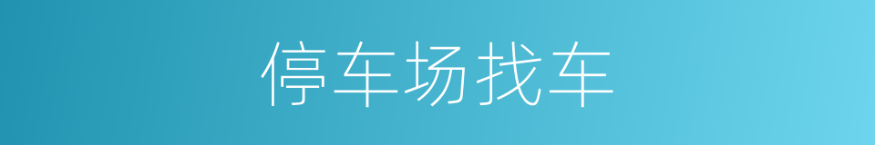 停车场找车的同义词
