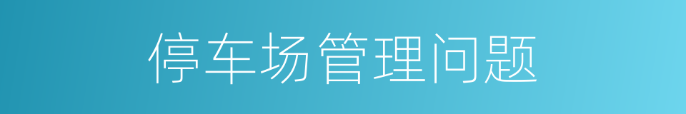 停车场管理问题的同义词