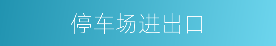 停车场进出口的同义词