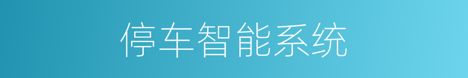 停车智能系统的同义词