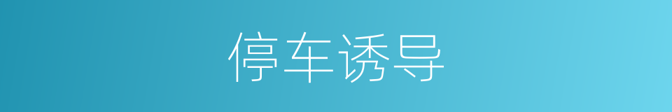 停车诱导的同义词