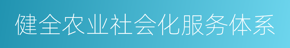 健全农业社会化服务体系的同义词