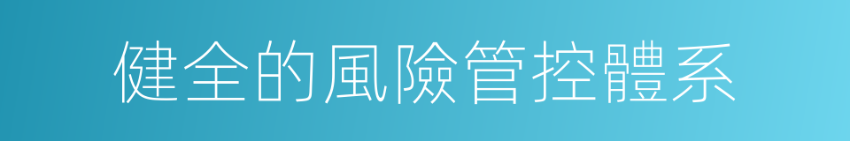 健全的風險管控體系的同義詞