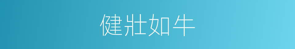 健壯如牛的同義詞