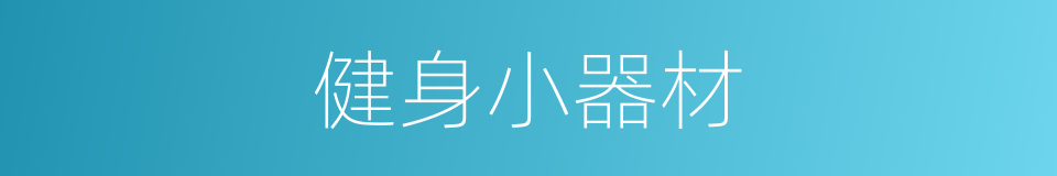 健身小器材的同义词