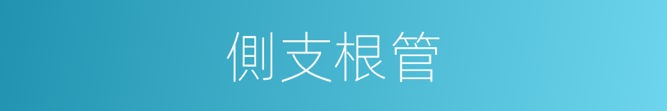 側支根管的同義詞