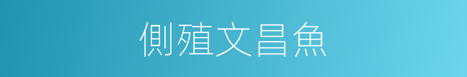 側殖文昌魚的同義詞