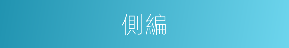 側編的同義詞