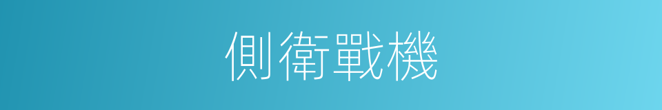 側衛戰機的同義詞