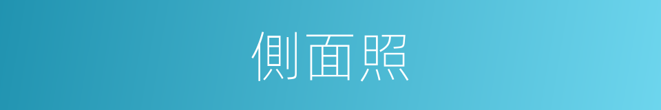 側面照的同義詞