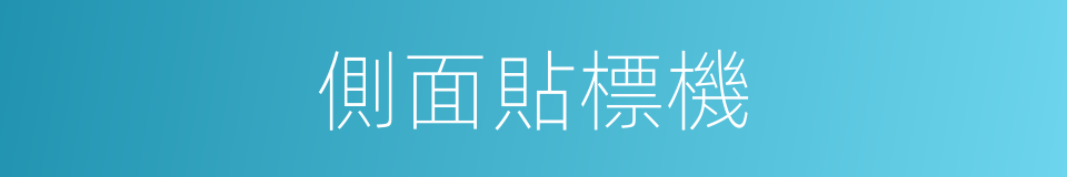 側面貼標機的同義詞