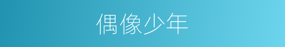 偶像少年的同义词