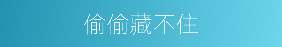 偷偷藏不住的同义词