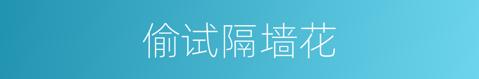 偷试隔墙花的同义词