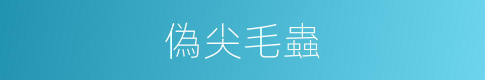 偽尖毛蟲的同義詞