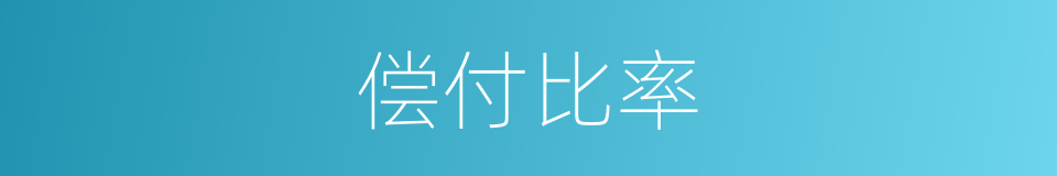 偿付比率的同义词