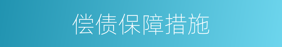 偿债保障措施的同义词