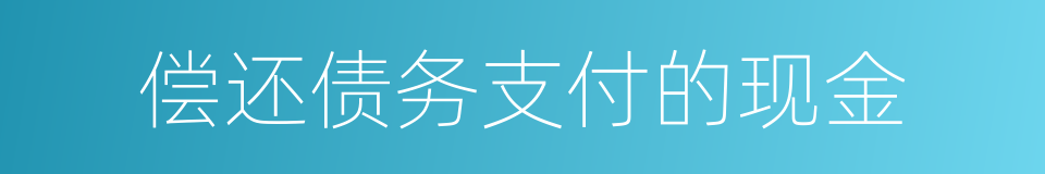 偿还债务支付的现金的同义词