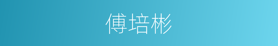 傅培彬的同义词