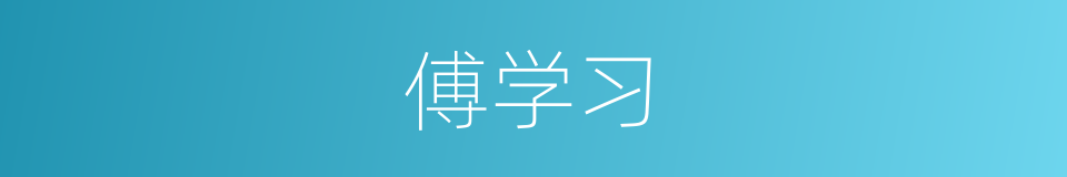 傅学习的同义词