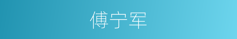 傅宁军的同义词