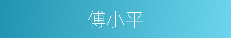 傅小平的同义词